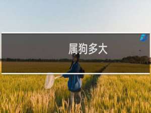 属狗多大