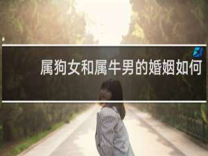 属狗女和属牛男的婚姻如何
