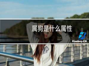 属狗是什么属性