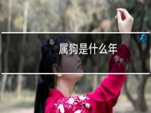 属狗是什么年