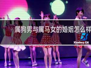 属狗男与属马女的婚姻怎么样