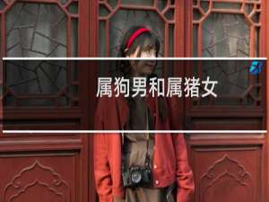 属狗男和属猪女