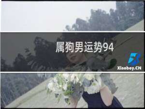 属狗男运势94