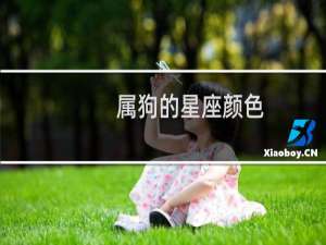 属狗的星座颜色
