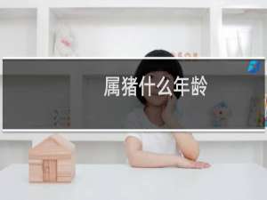 属猪什么年龄