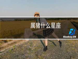 属猪什么星座