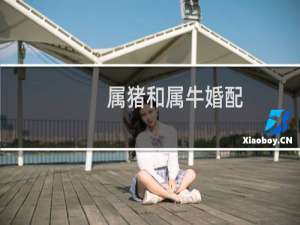 属猪和属牛婚配