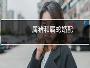 属猪和属蛇婚配