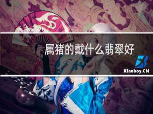 属猪的戴什么翡翠好