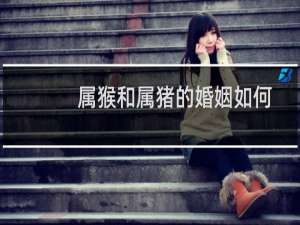 属猴和属猪的婚姻如何