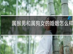 属猴男和属狗女的婚姻怎么样