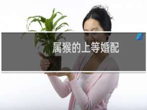 属猴的上等婚配