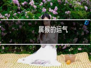 属猴的运气