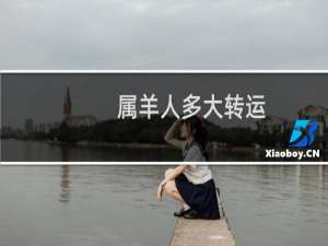 属羊人多大转运