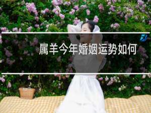属羊今年婚姻运势如何