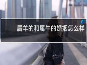 属羊的和属牛的婚姻怎么样