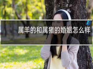 属羊的和属猪的婚姻怎么样