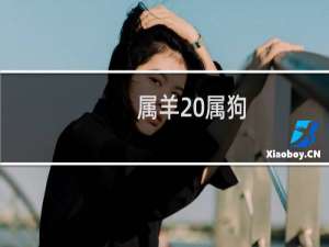 属羊 属狗