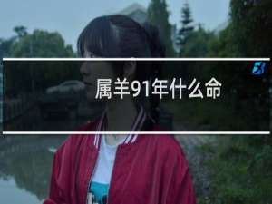 属羊91年什么命