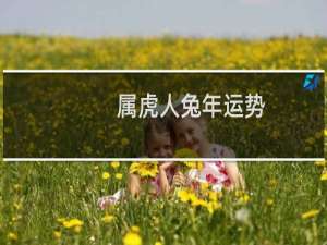属虎人兔年运势