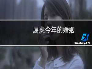 属虎今年的婚姻