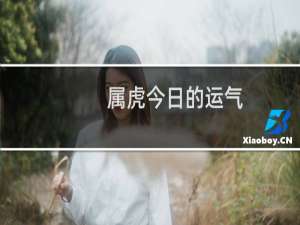 属虎今日的运气