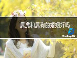 属虎和属狗的婚姻好吗