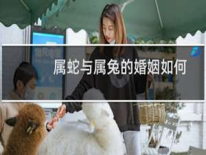 属蛇与属兔的婚姻如何