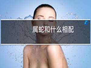 属蛇和什么相配