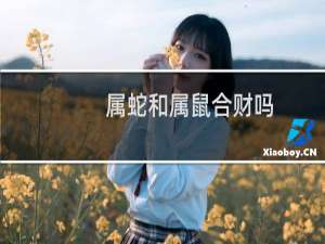 属蛇和属鼠合财吗