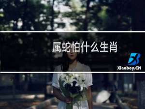 属蛇怕什么生肖