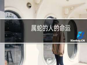 属蛇的人的命运