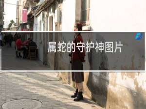 属蛇的守护神图片