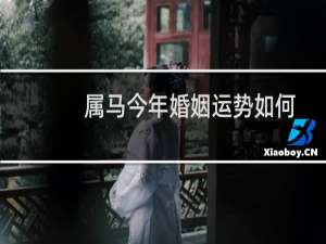 属马今年婚姻运势如何