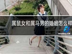 属鼠女和属马男的婚姻怎么样