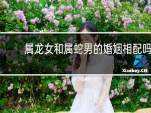 属龙女和属蛇男的婚姻相配吗