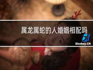 属龙属蛇的人婚姻相配吗