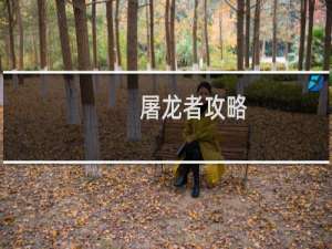 屠龙者攻略