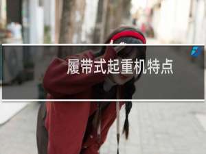 履带式起重机特点