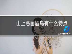 山上恶画眉鸟有什么特点