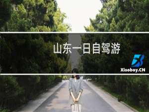 山东一日自驾游