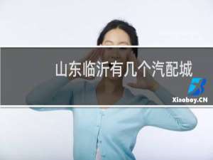 山东临沂有几个汽配城