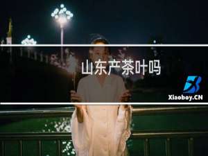 山东产茶叶吗