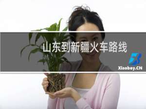 山东到新疆火车路线