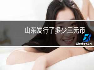 山东发行了多少三元币