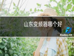山东变频器哪个好