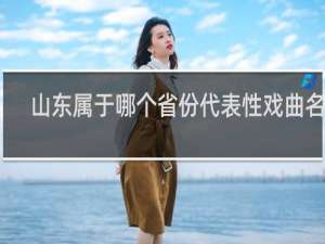 山东属于哪个省份代表性戏曲名称
