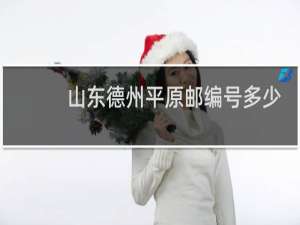 山东德州平原邮编号多少