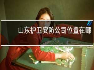 山东护卫安防公司位置在哪