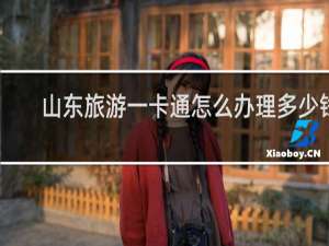 山东旅游一卡通怎么办理多少钱